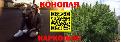 стафф Донской