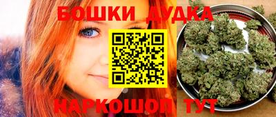 стафф Донской