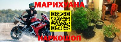 стафф Донской