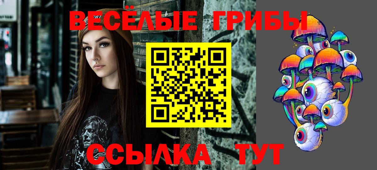 Корсаков  Галлюциногенные грибы Magic Shrooms  Вход с VPN  купить закладку  Псилоцибиновые грибы ЛСД 